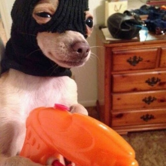 boolinhec